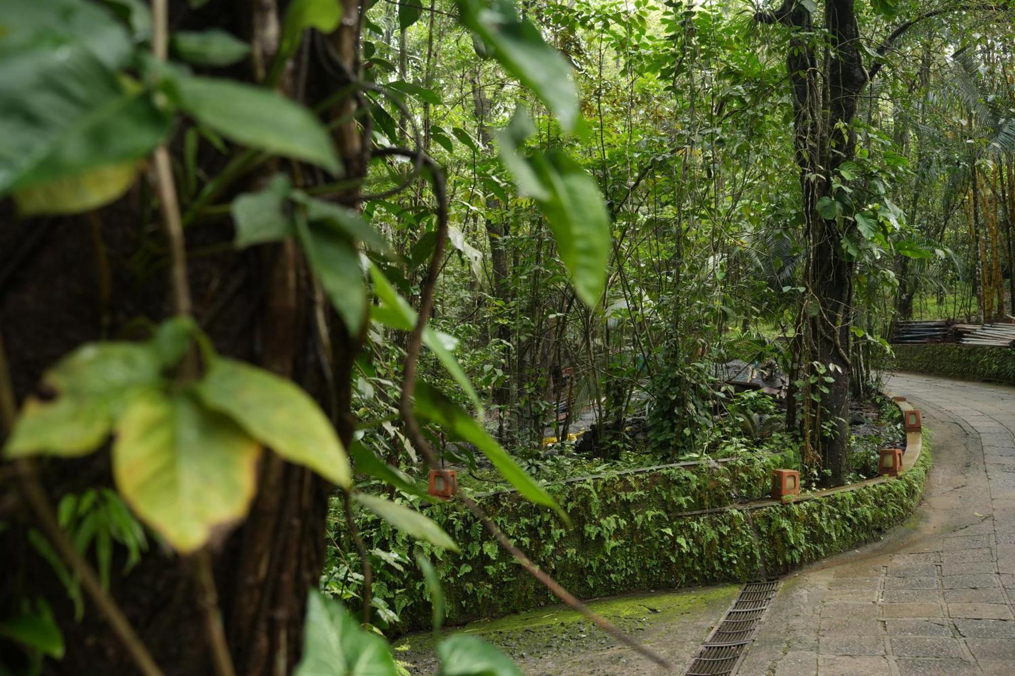 Wayanad Silverwoods Forest Resort & Spa Padinjarathara Екстериор снимка